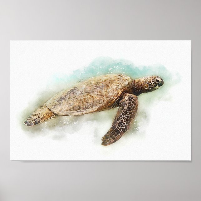 Póster Tortuga marina - acuarela de una tortuga verde haw (Frente)