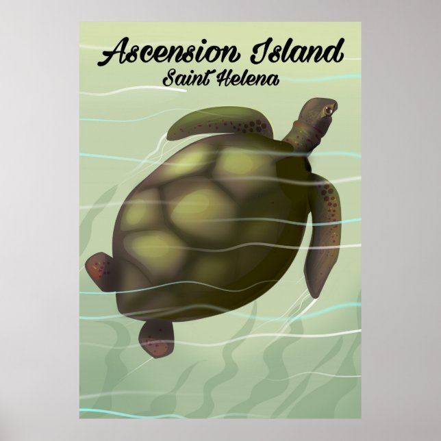 Póster Tortuga marina de la Isla de la Ascensión (Frente)
