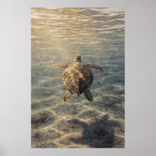 Póster Tortuga marina en agua azul clara