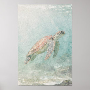 Póster Tortuga marina en agua costera verde azul pálido