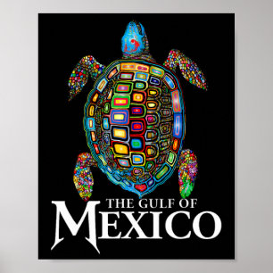 Póster Tortuga Marina Gráfica Golfo De México Nunca Olvid