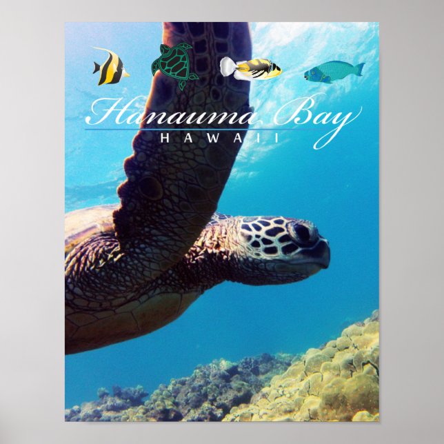 Póster Tortuga marina Hanauma Bay Hawaii (Frente)