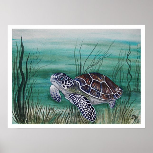 Póster Tortuga marina Hawksbill (Frente)