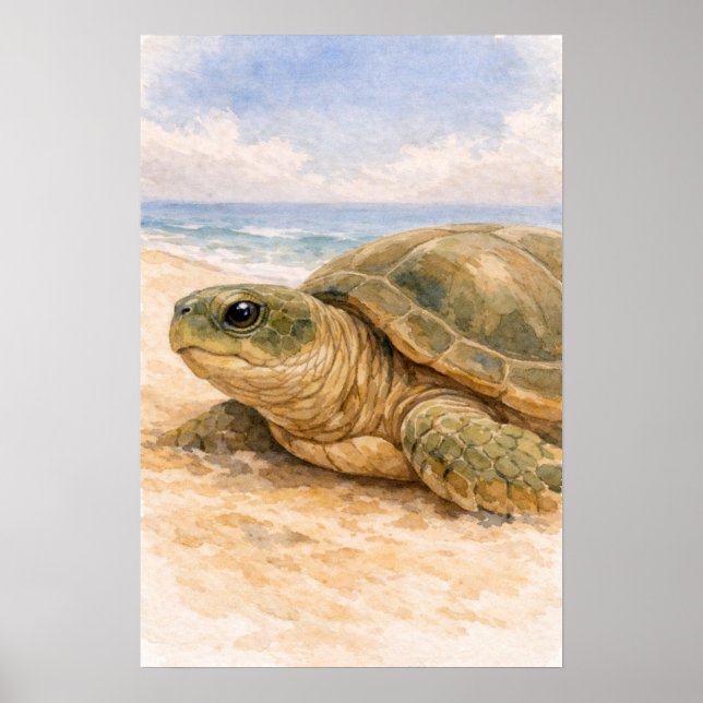 Póster Tortuga Marina Playa Oceánica (Frente)