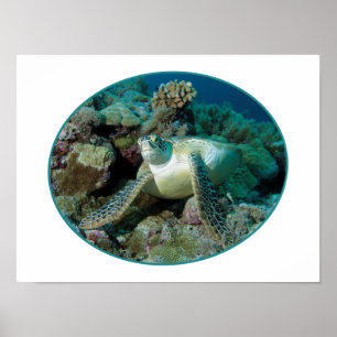 Póster Tortuga marina verde en corales - Diseño fotográfi