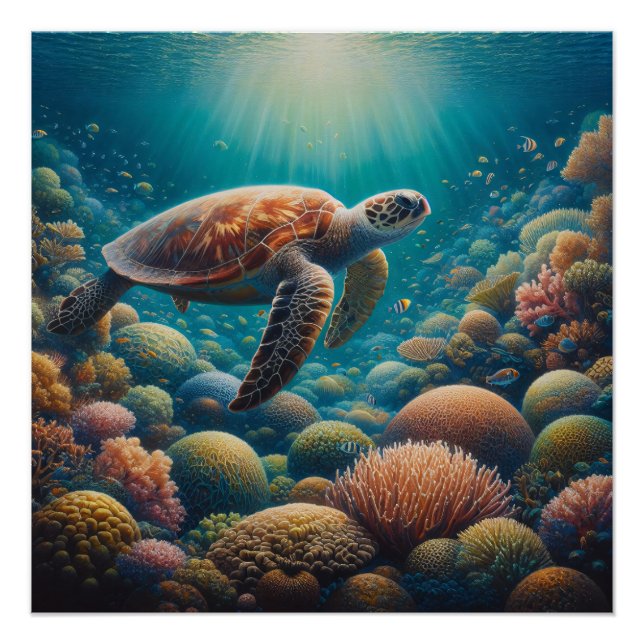 Póster Tortuga marina y coral (Anverso)