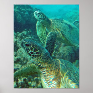 Póster Tortuga marítima de Hawaii