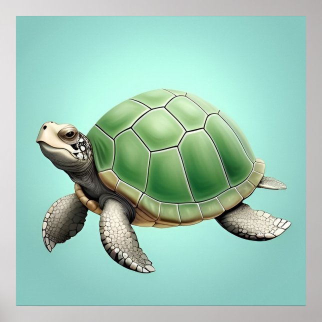 Póster Tortuga verde realista (Frente)