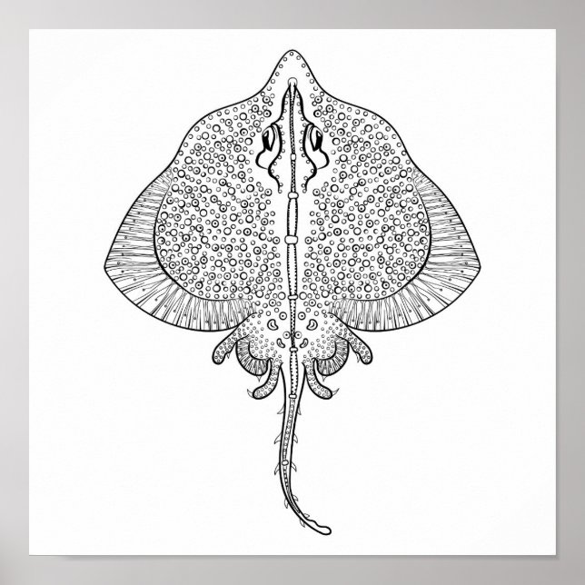 Póster Tótem de Stingray inspirado 2 (Frente)