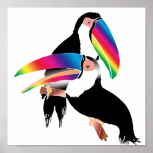 Póster Tou Toucans