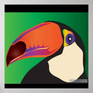 PÓSTER TOUCAN