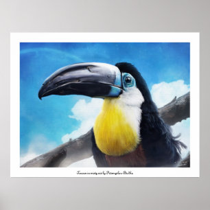 Póster Toucan en poster de aire niebla