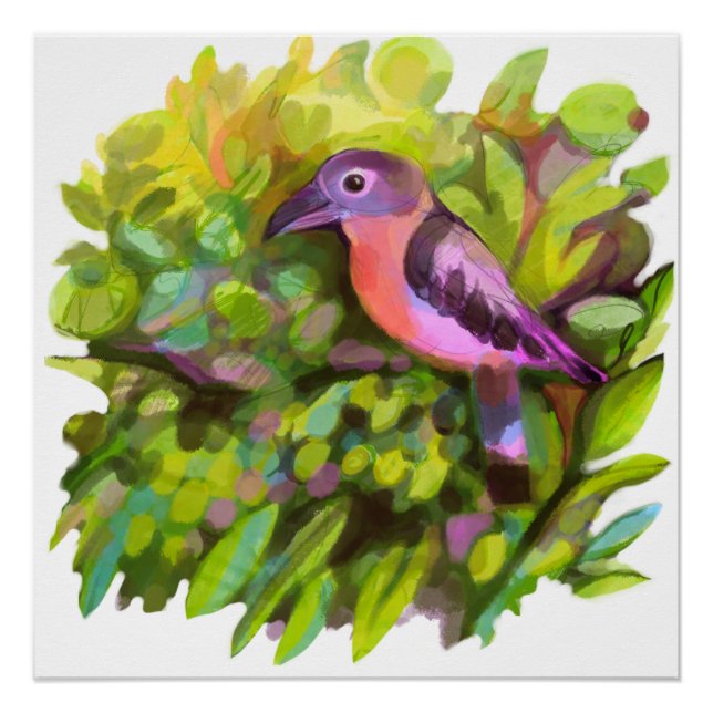 Póster Toucanato rosa (Anverso)