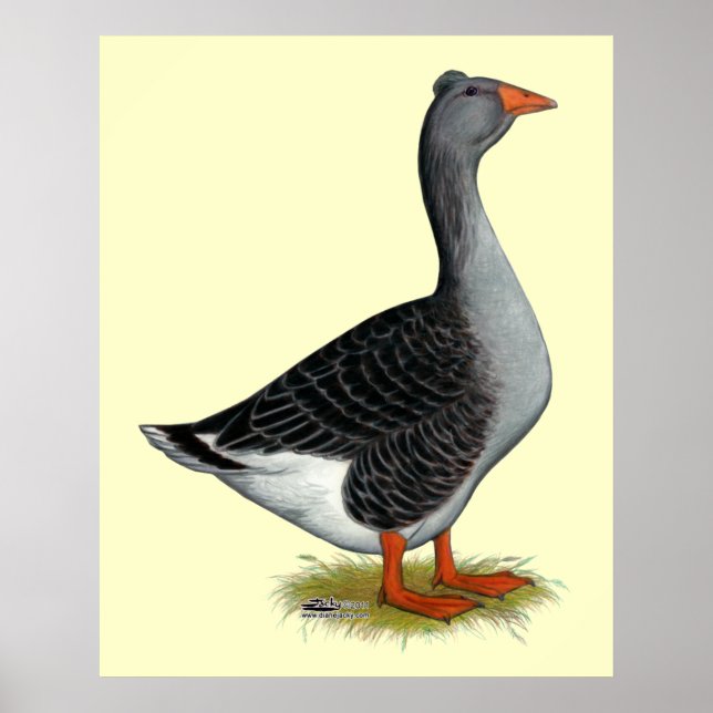 Póster Toulouse Goose (Frente)