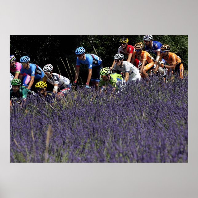 Póster Tour de France dans les lavandes (Frente)