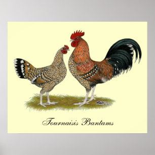 Póster Tournaisis Bantams