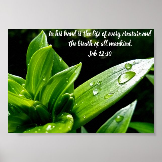 Póster Trabajo 12:10, Imprimir, Papel Poster de valor (ma (Frente)