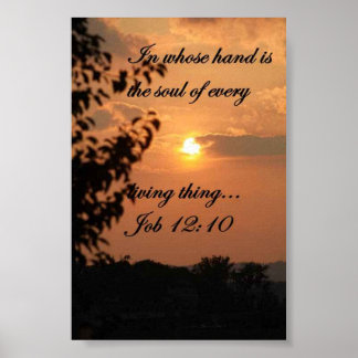 PÓSTER TRABAJO 12:10 POSTER