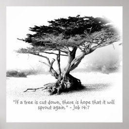 Póster TRABAJO 14:7 Poster