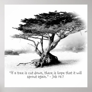 Póster TRABAJO 14:7 Poster