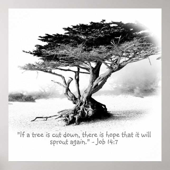 Póster TRABAJO 14:7 Poster (Frente)