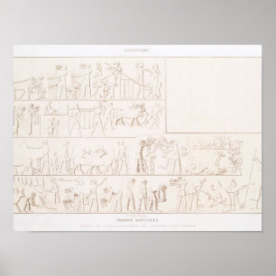Póster Trabajo agrícola de Histoire de l'art égyptien