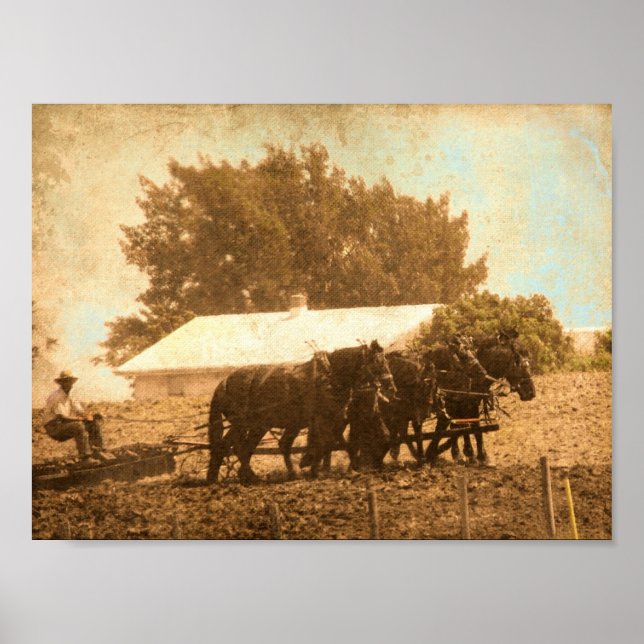 Póster Trabajo en campo (Frente)