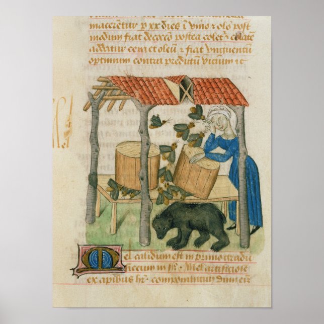 Póster Tractatus de Herbis' (Frente)