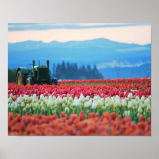 Póster Tractor de primavera