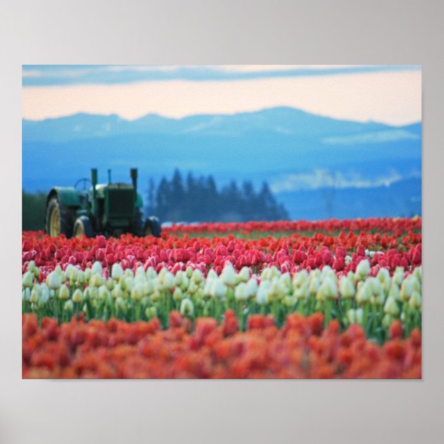 Póster Tractor de primavera (Frente)