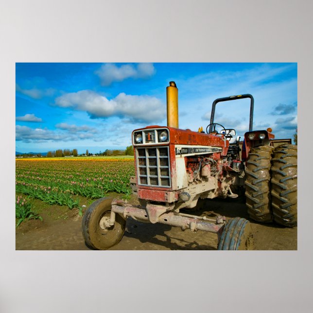 Póster Tractor en los Campos de Tulipanes (Frente)