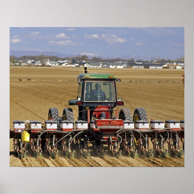 Póster Tractor tirando de una sembradora de maíz para sem (Frente)