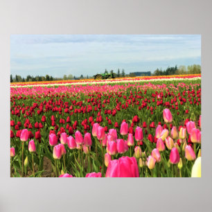 Póster Tractor Verde en el Campo Tulip, Oregón