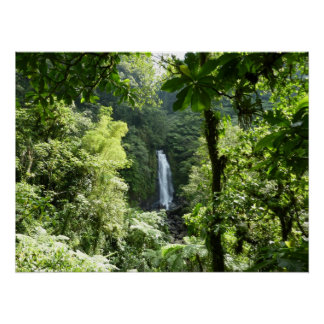 Póster Trafalgar cae fotografía tropical de selva tropica