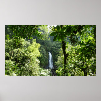Póster Trafalgar cae fotografía tropical de selva tropica