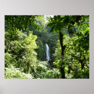 Póster Trafalgar cae fotografía tropical de selva tropica