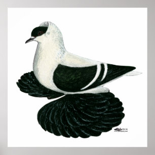 Póster Tragar pichón Saxon Black White Bar