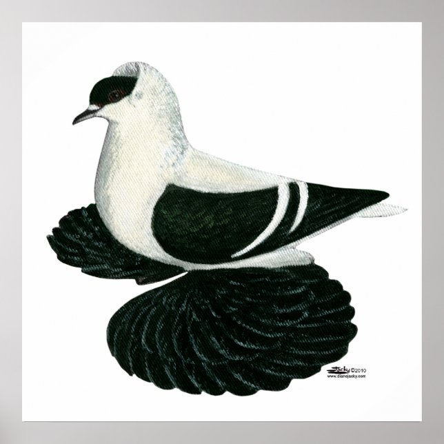 Póster Tragar pichón Saxon Black White Bar (Frente)