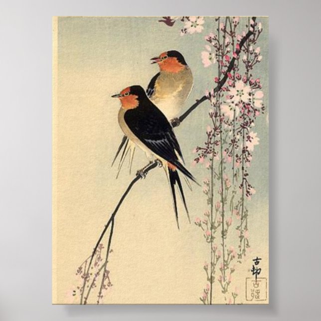Póster Trague con flores de cerezo - Ohara Koson (Frente)