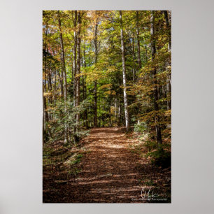 Póster Trail de Woodland