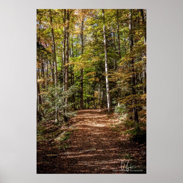 Póster Trail de Woodland (Frente)