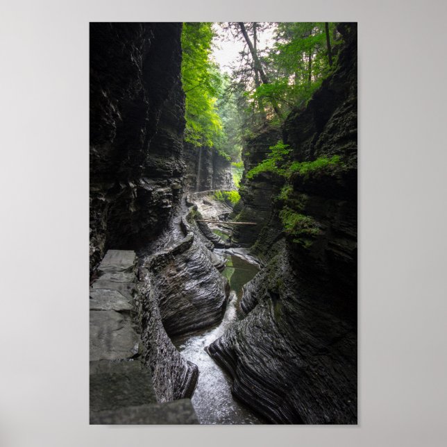 Póster Trail en Watkins Glen, Nueva York (Frente)