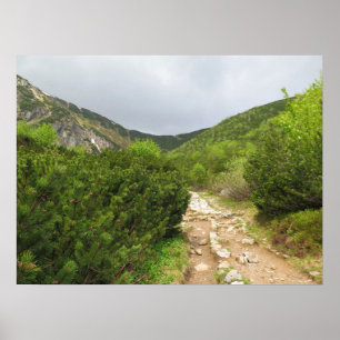 Póster Trail - Tatras Eslovaquia