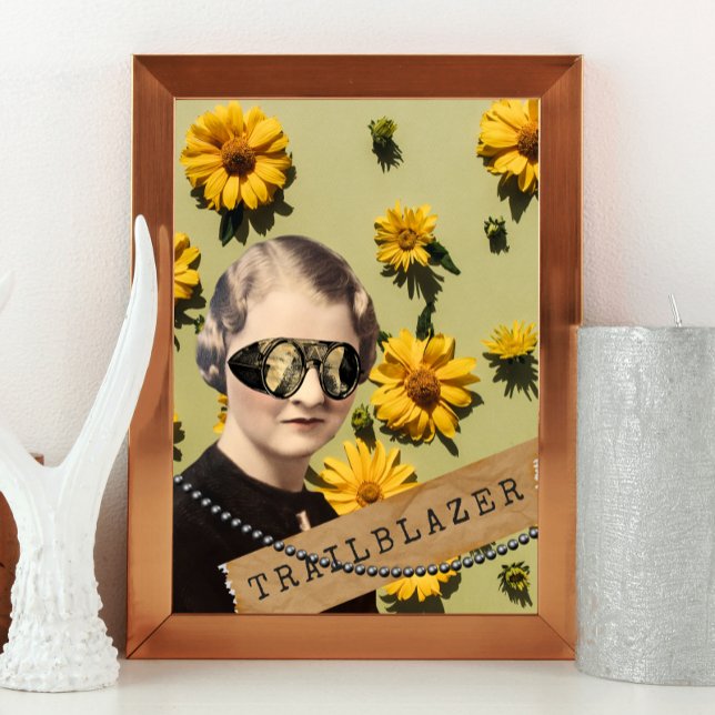 Póster Trailblazer Daisies Kitsch (Subido por el creador)