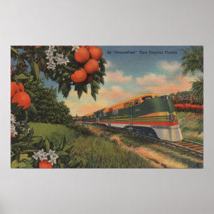 Póster Train- Orange Blossom Special