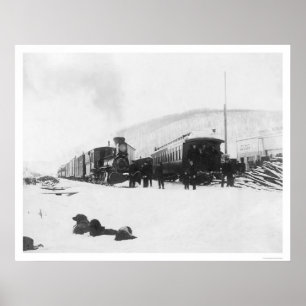 Póster Trains & Dogs Alaska 1916