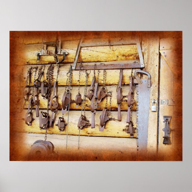 Póster Trampas animales en Alaska (Frente)