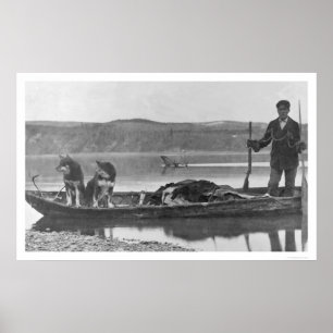 Póster Trampero con las pieles y los perros Alaska 1906