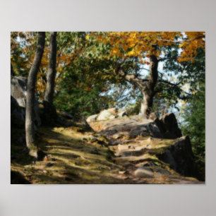 Póster Tranquila Ruta de los bosques Naturaleza Orton Art