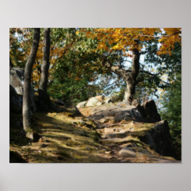 Póster Tranquila Ruta de los bosques Naturaleza Orton Art (Frente)